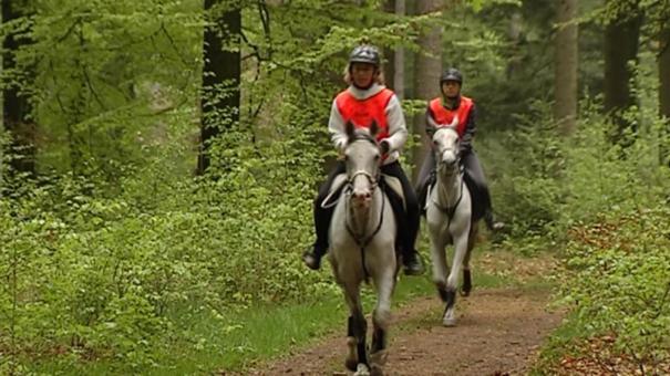 B&B Les Tilleuls Вьельсальм Экстерьер фото